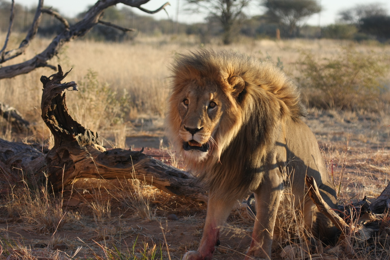 [8409] 2016_06_23_11_54_13_Africa_Canon_EOS_40D_IMG__09197.jpg