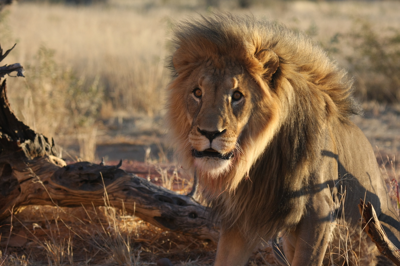 [8412] 2016_06_23_11_54_14_Africa_Canon_EOS_40D_IMG__09198.jpg