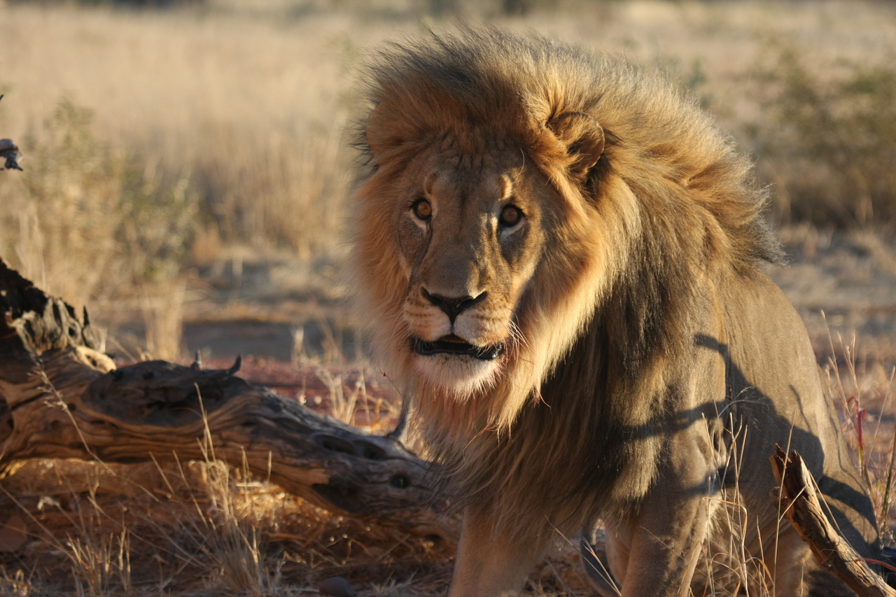 [8413] 2016_06_23_11_54_15_Africa_Canon_EOS_40D_IMG__00918.jpg