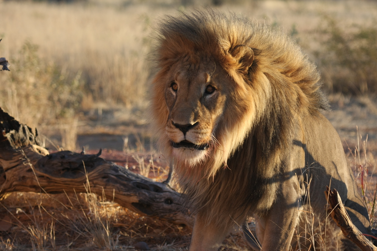 [8418] 2016_06_23_11_54_15_Africa_Canon_EOS_40D_IMG__09200.jpg