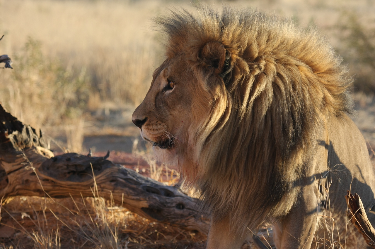 [8433] 2016_06_23_11_54_20_Africa_Canon_EOS_40D_IMG__09206.jpg