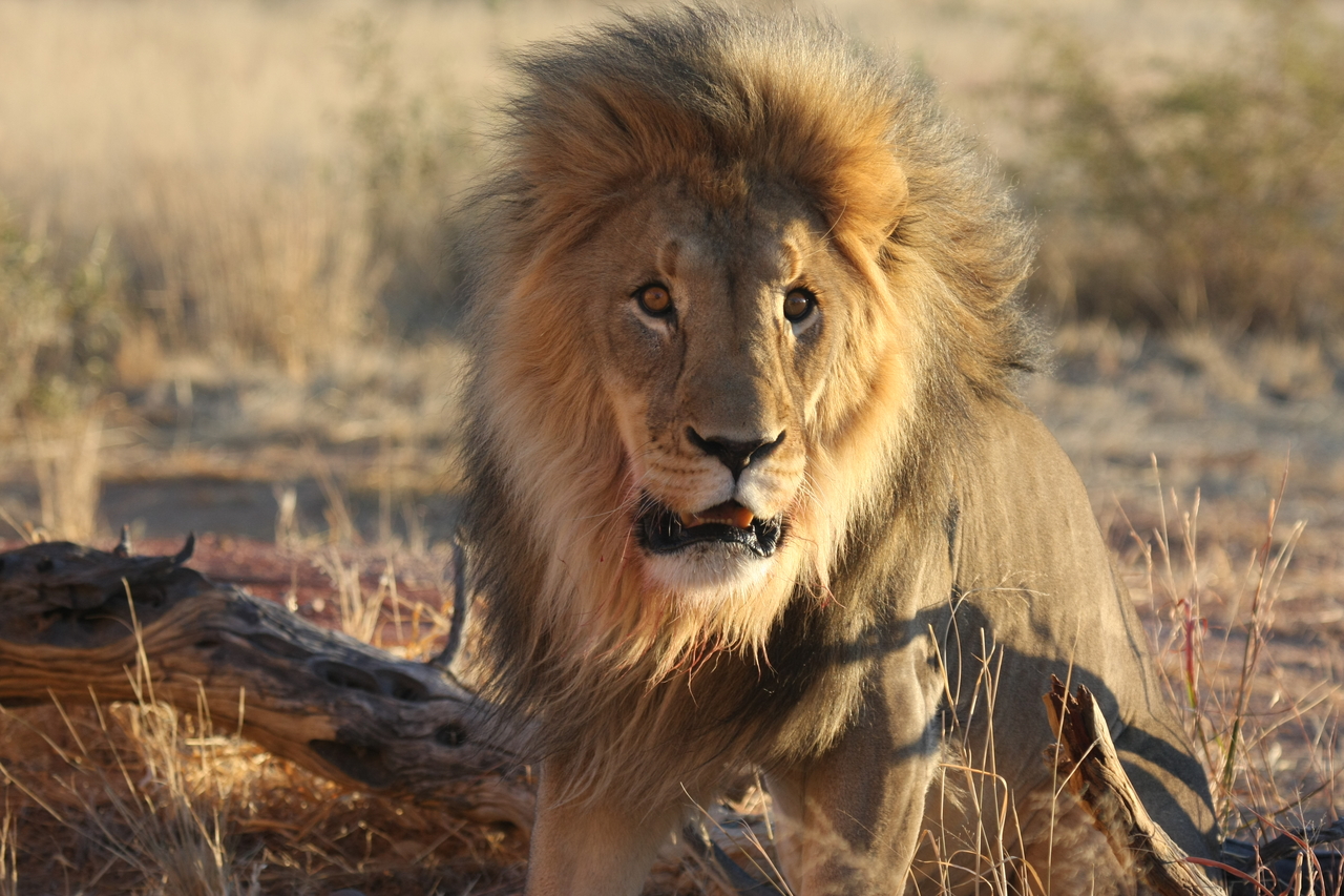 [8447] 2016_06_23_11_54_26_Africa_Canon_EOS_40D_IMG__00927.jpg