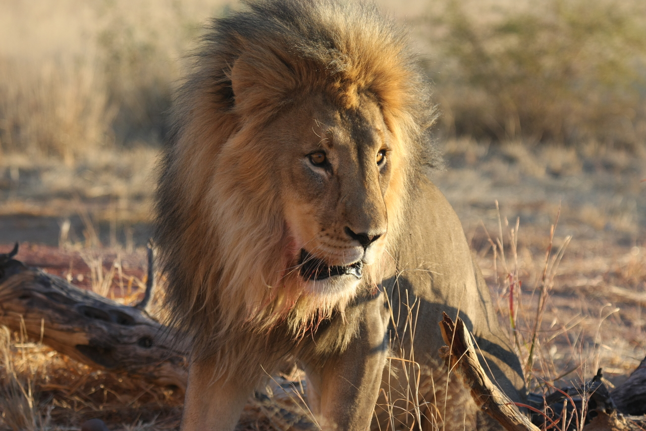 [8470] 2016_06_23_11_54_29_Africa_Canon_EOS_40D_IMG__00935.jpg