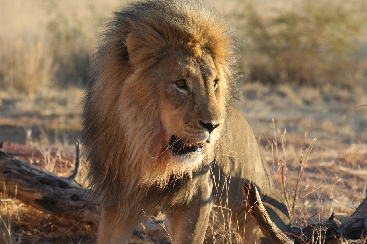 [8475] 2016_06_23_11_54_29_Africa_Canon_EOS_40D_IMG__01771.jpg