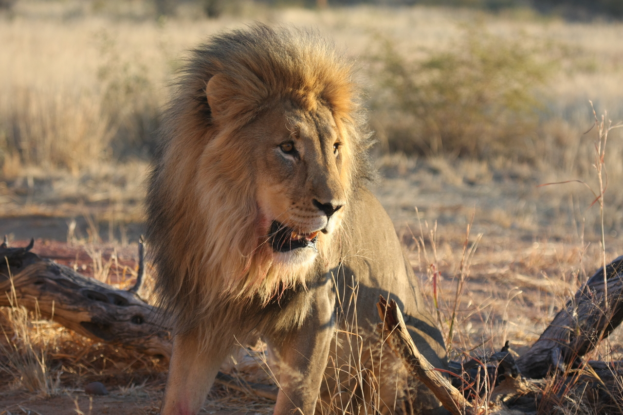 [8487] 2016_06_23_11_54_31_Africa_Canon_EOS_40D_IMG__09221.jpg