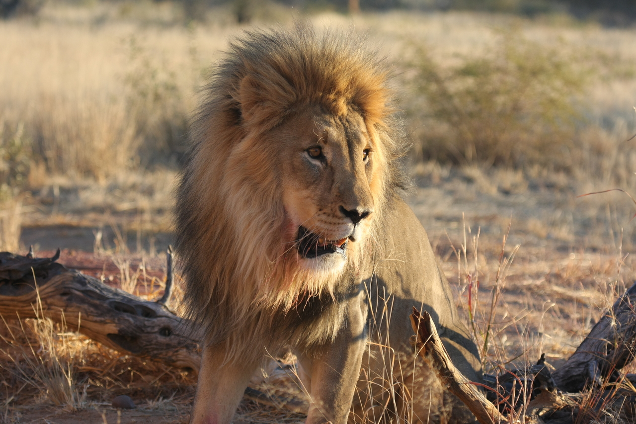 [8492] 2016_06_23_11_54_32_Africa_Canon_EOS_40D_IMG__09222.jpg