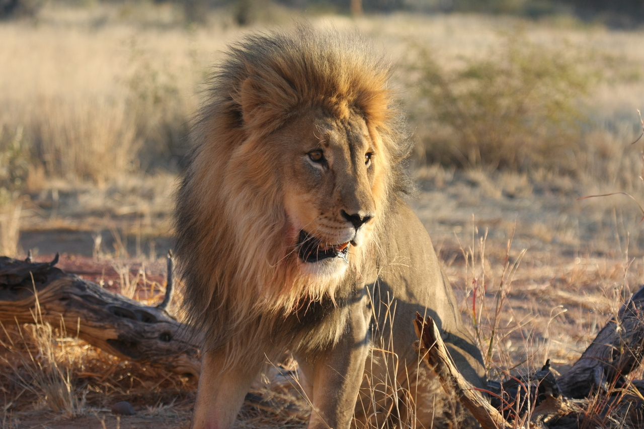 [8496] 2016_06_23_11_54_33_Africa_Canon_EOS_40D_IMG__01777.jpg