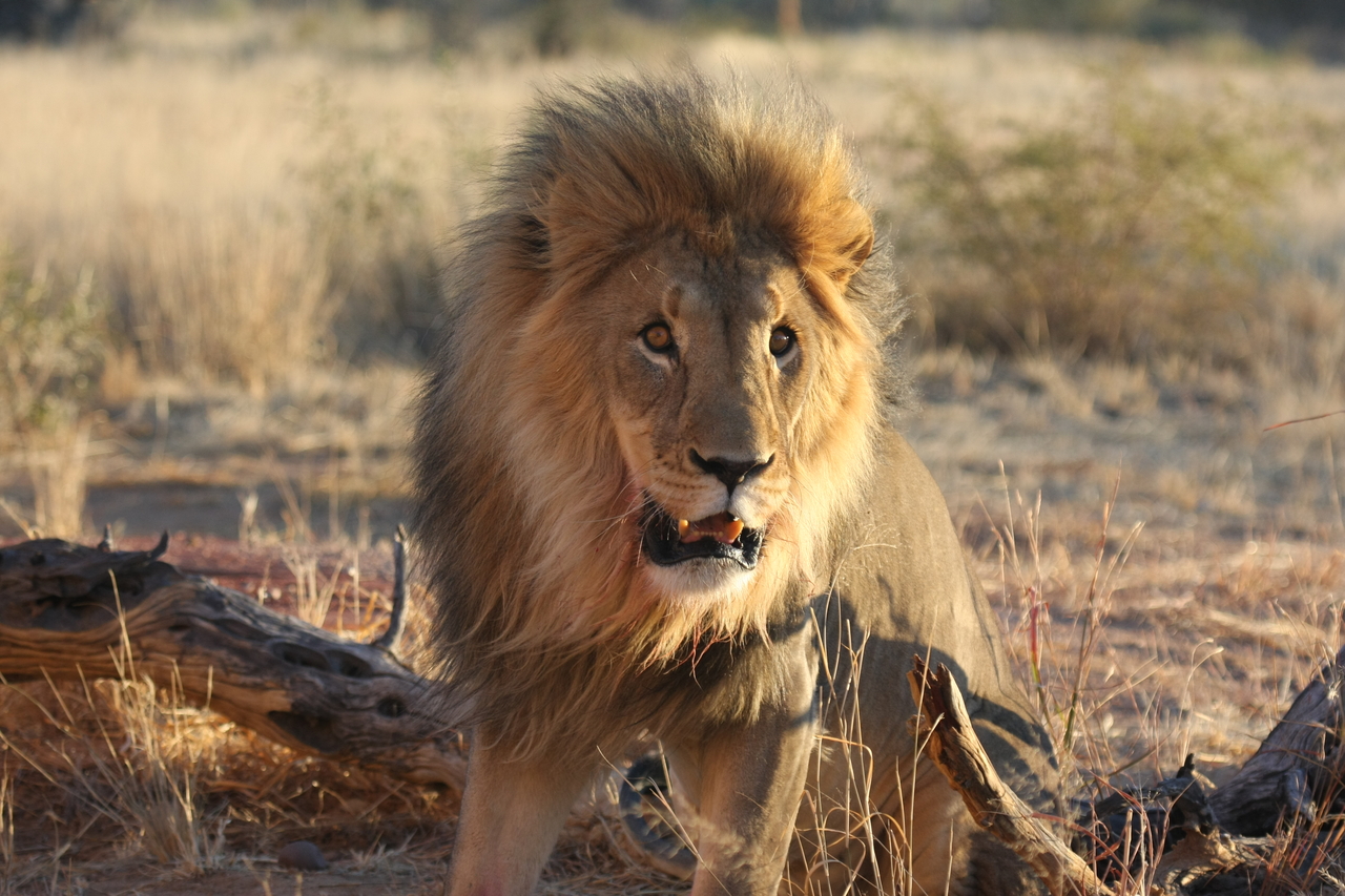 [8503] 2016_06_23_11_54_34_Africa_Canon_EOS_40D_IMG__00947.jpg