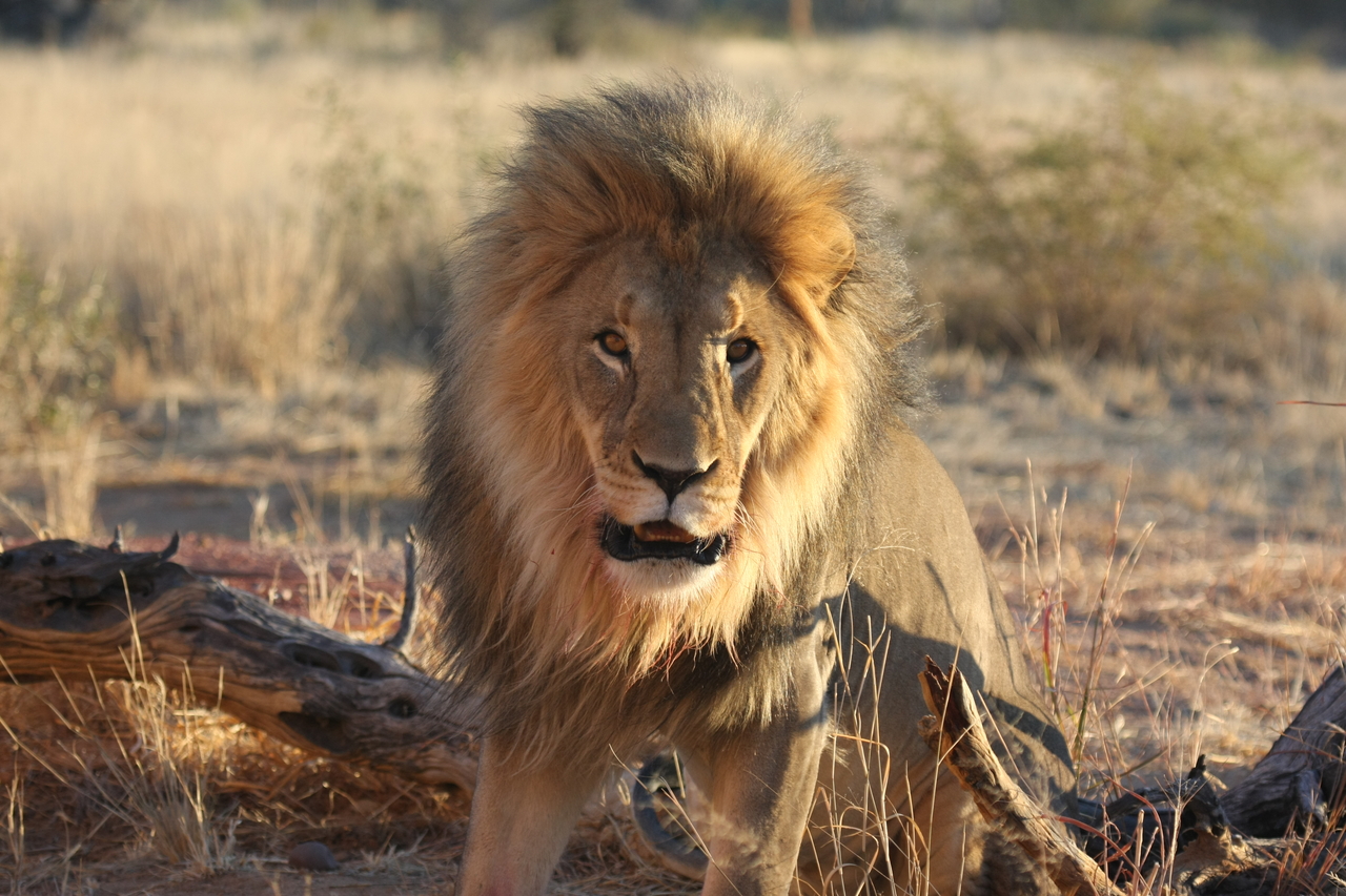 [8518] 2016_06_23_11_54_35_Africa_Canon_EOS_40D_IMG__01783.jpg