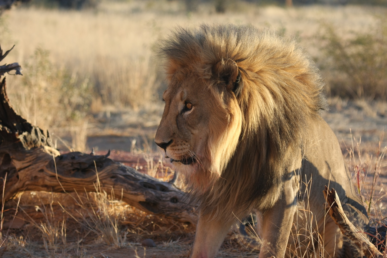 [8534] 2016_06_23_11_54_37_Africa_Canon_EOS_40D_IMG__01790.jpg