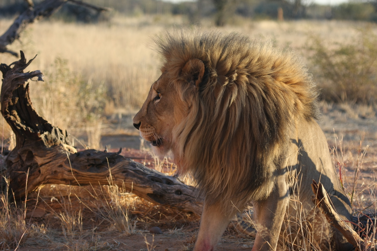 [8541] 2016_06_23_11_54_41_Africa_Canon_EOS_40D_IMG__01791.jpg