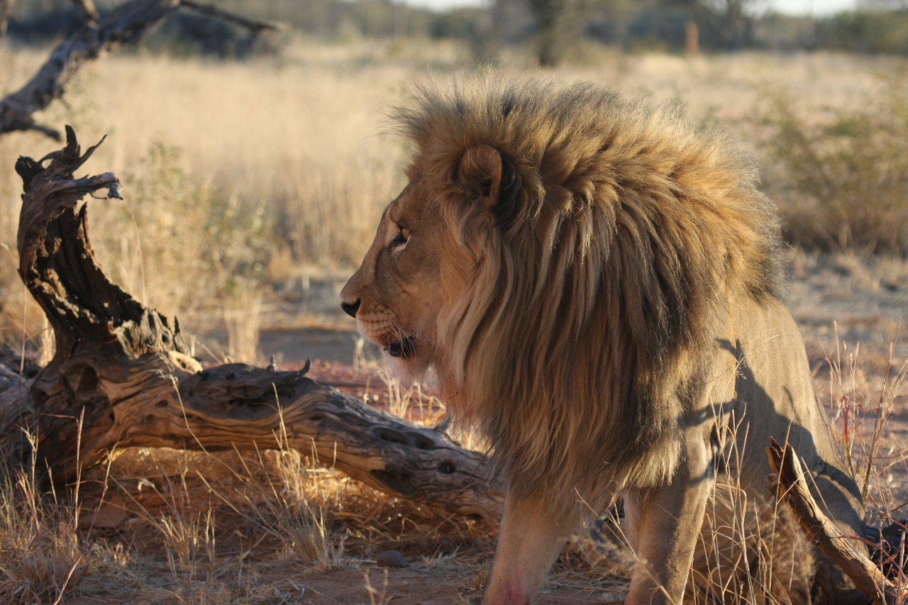 [8547] 2016_06_23_11_54_43_Africa_Canon_EOS_40D_IMG__09239.jpg