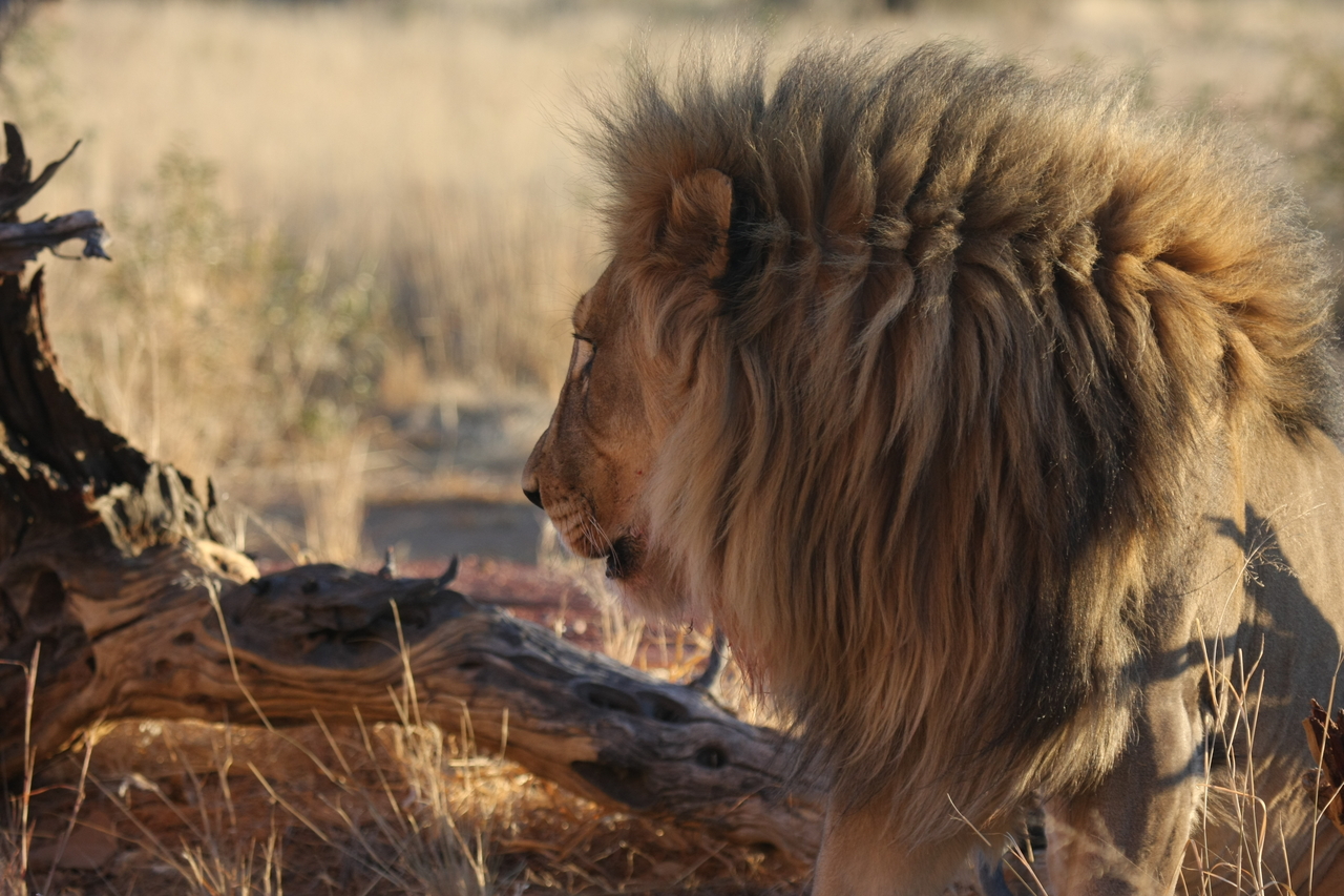 [8553] 2016_06_23_11_54_45_Africa_Canon_EOS_40D_IMG__01795.jpg