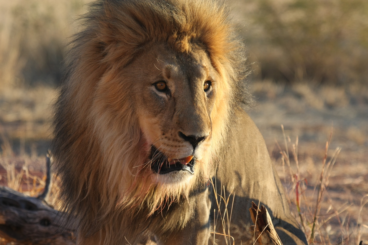 [8564] 2016_06_23_11_54_53_Africa_Canon_EOS_40D_IMG__01796.jpg