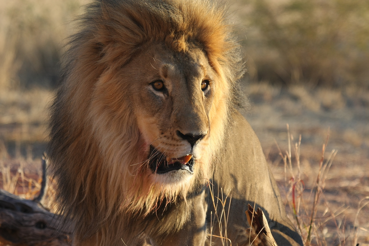 [8568] 2016_06_23_11_54_53_Africa_Canon_EOS_40D_IMG__09244.jpg