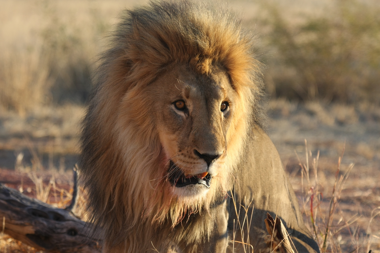 [8578] 2016_06_23_11_54_54_Africa_Canon_EOS_40D_IMG__09249.jpg