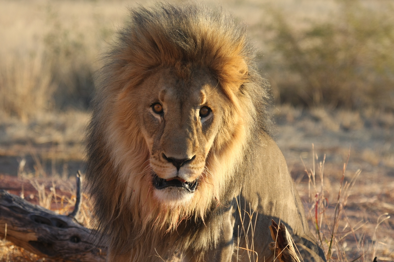 [8579] 2016_06_23_11_54_55_Africa_Canon_EOS_40D_IMG__00969.jpg