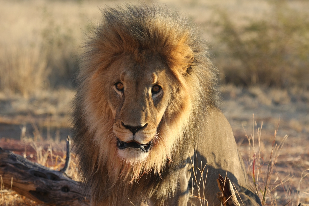 [8580] 2016_06_23_11_54_55_Africa_Canon_EOS_40D_IMG__00970.jpg