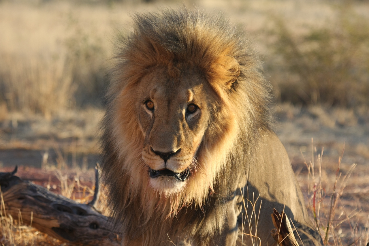 [8588] 2016_06_23_11_54_56_Africa_Canon_EOS_40D_IMG__00972.jpg