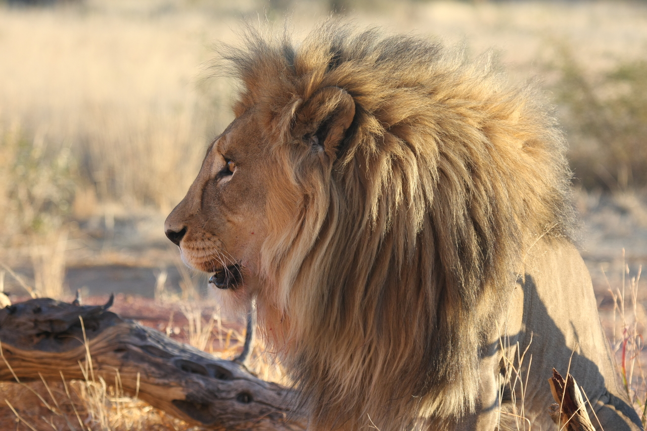 [8598] 2016_06_23_11_55_00_Africa_Canon_EOS_40D_IMG__00978.jpg