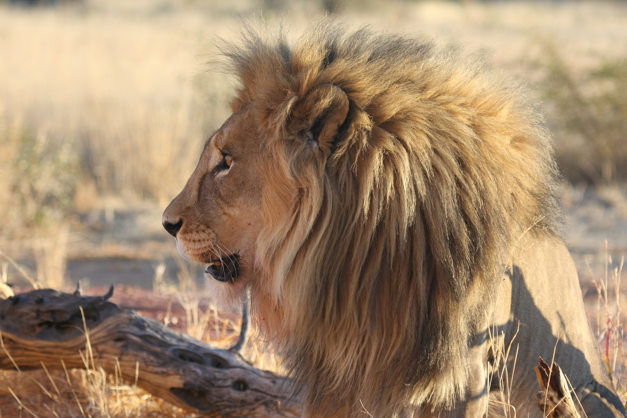 [8605] 2016_06_23_11_55_00_Africa_Canon_EOS_40D_IMG__09260.jpg