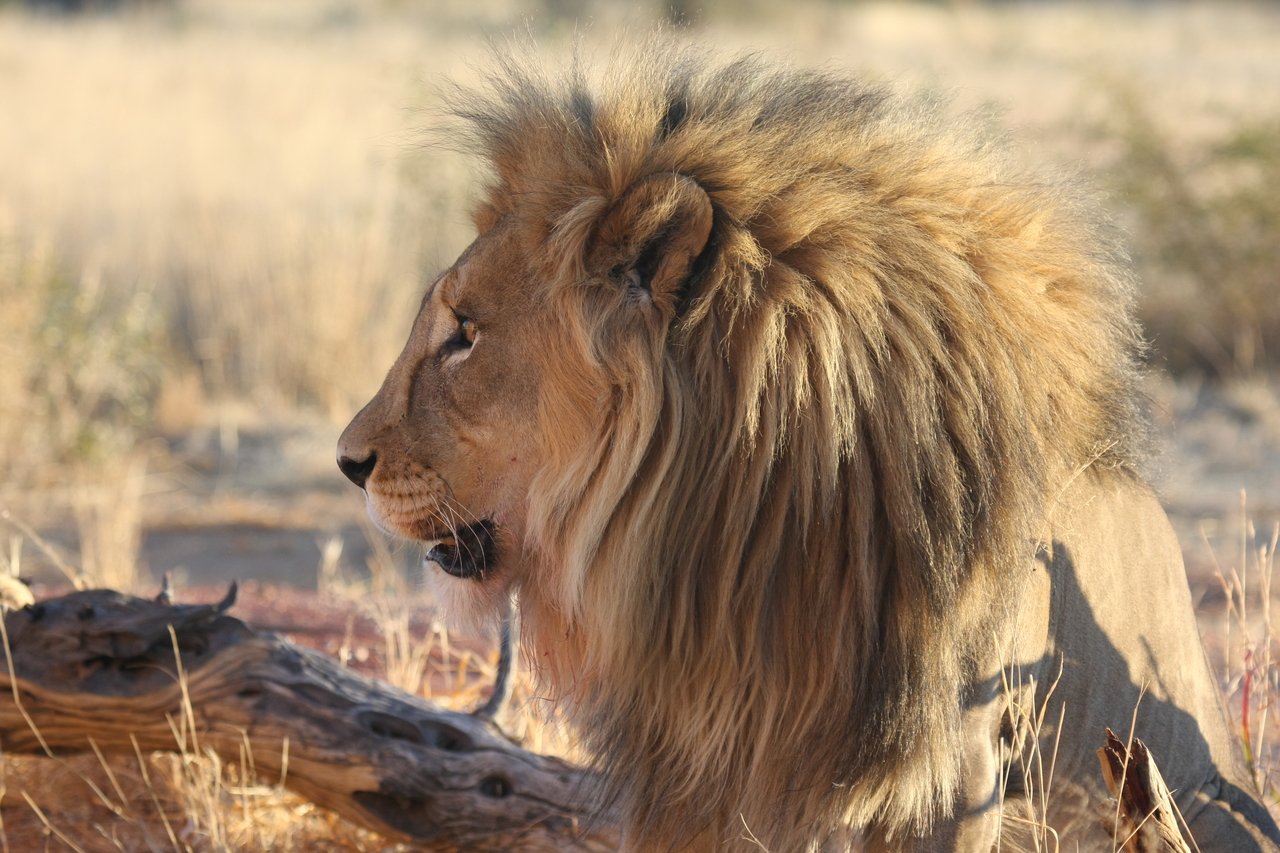 [8607] 2016_06_23_11_55_01_Africa_Canon_EOS_40D_IMG__01814.jpg