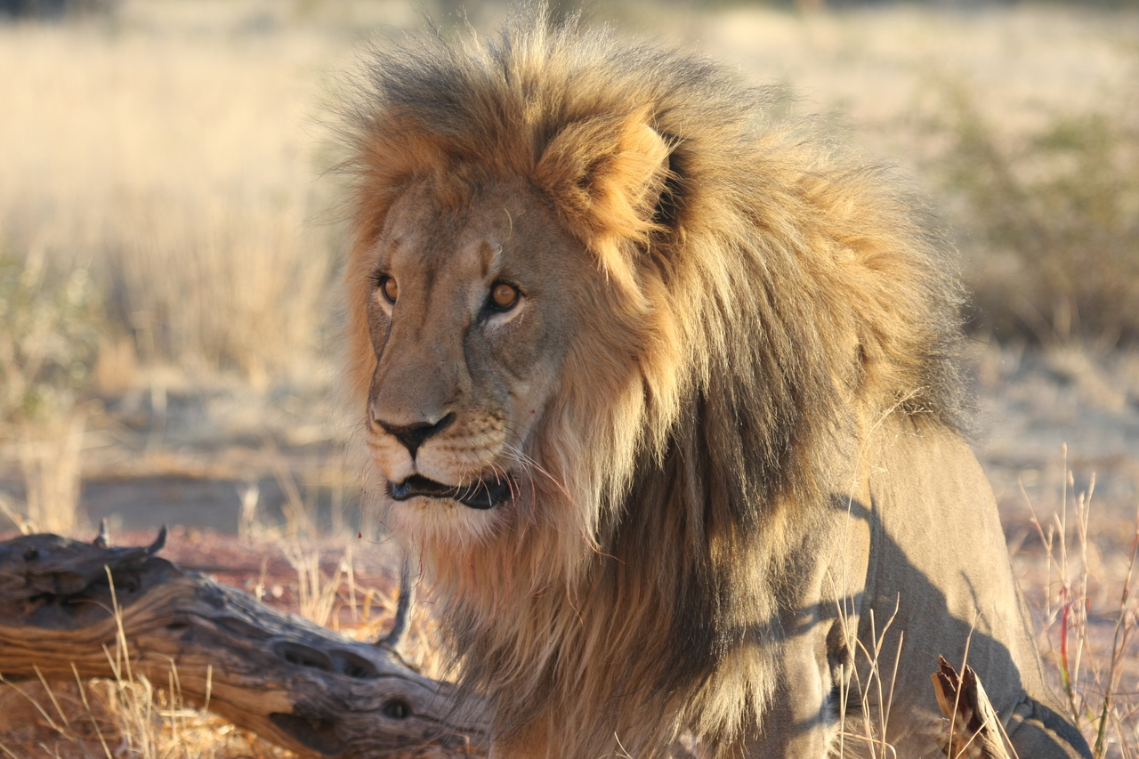 [8612] 2016_06_23_11_55_08_Africa_Canon_EOS_40D_IMG__00982.jpg