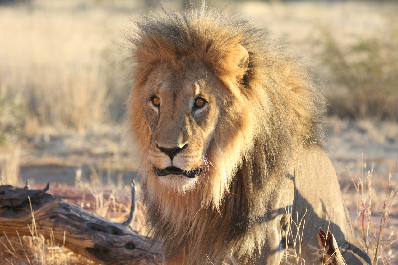 [8616] 2016_06_23_11_55_08_Africa_Canon_EOS_40D_IMG__01817.jpg