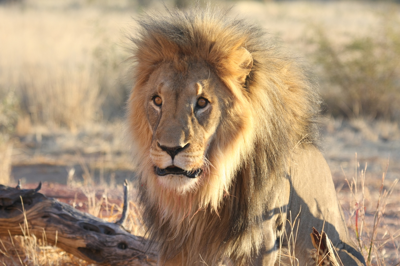 [8620] 2016_06_23_11_55_09_Africa_Canon_EOS_40D_IMG__00984.jpg