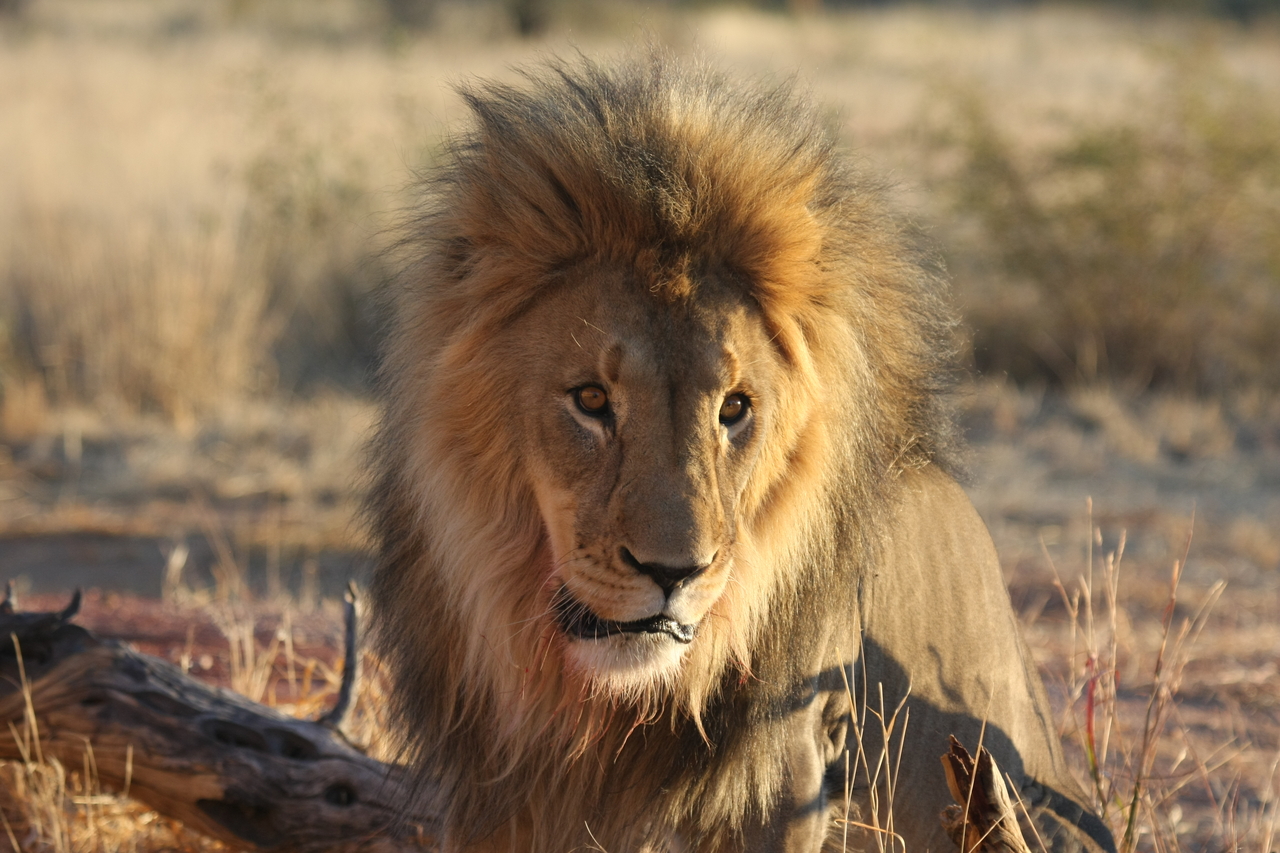 [8625] 2016_06_23_11_55_10_Africa_Canon_EOS_40D_IMG__09266.jpg