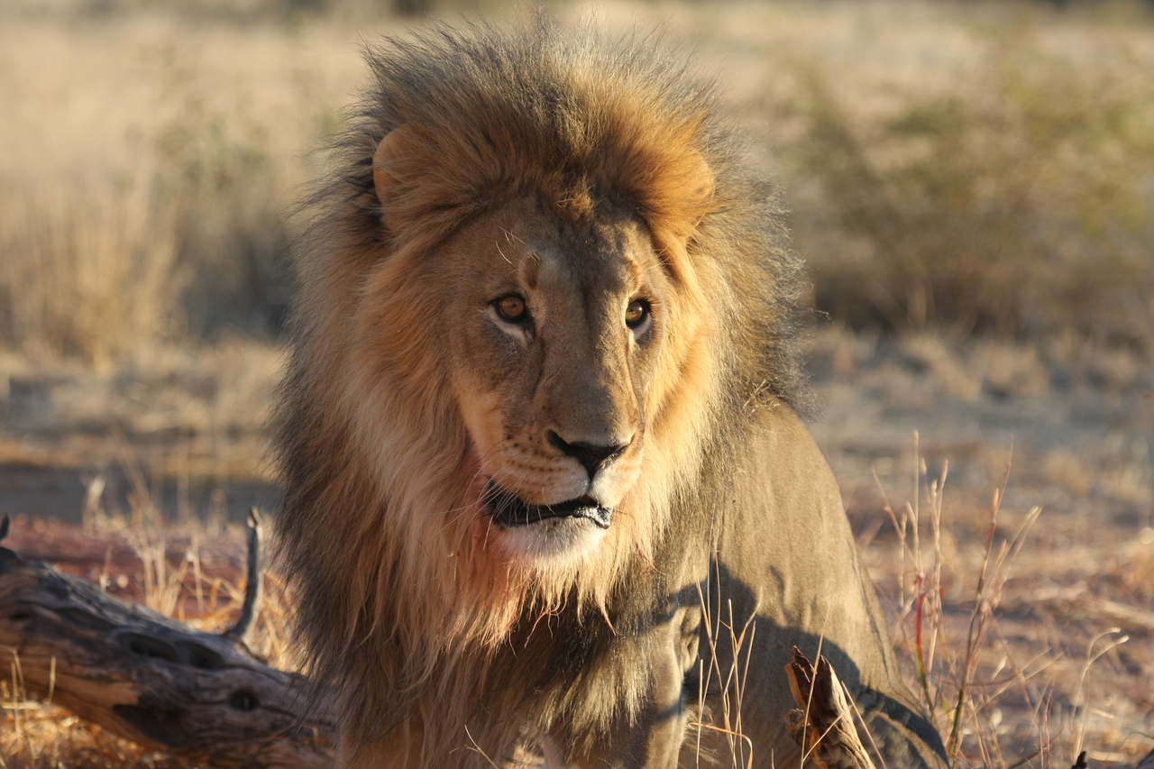 [8631] 2016_06_23_11_55_11_Africa_Canon_EOS_40D_IMG__01823.jpg