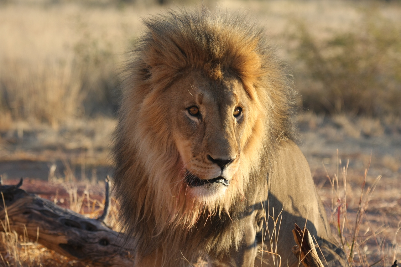 [8632] 2016_06_23_11_55_11_Africa_Canon_EOS_40D_IMG__09267.jpg