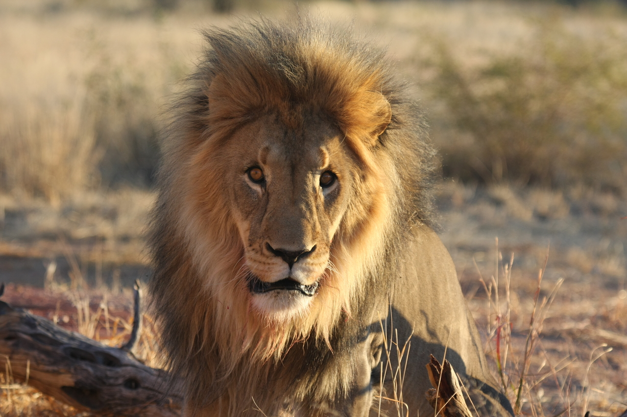 [8638] 2016_06_23_11_55_12_Africa_Canon_EOS_40D_IMG__01825.jpg