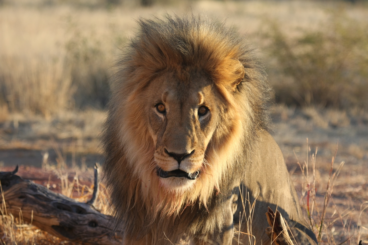 [8646] 2016_06_23_11_55_13_Africa_Canon_EOS_40D_IMG__01828.jpg