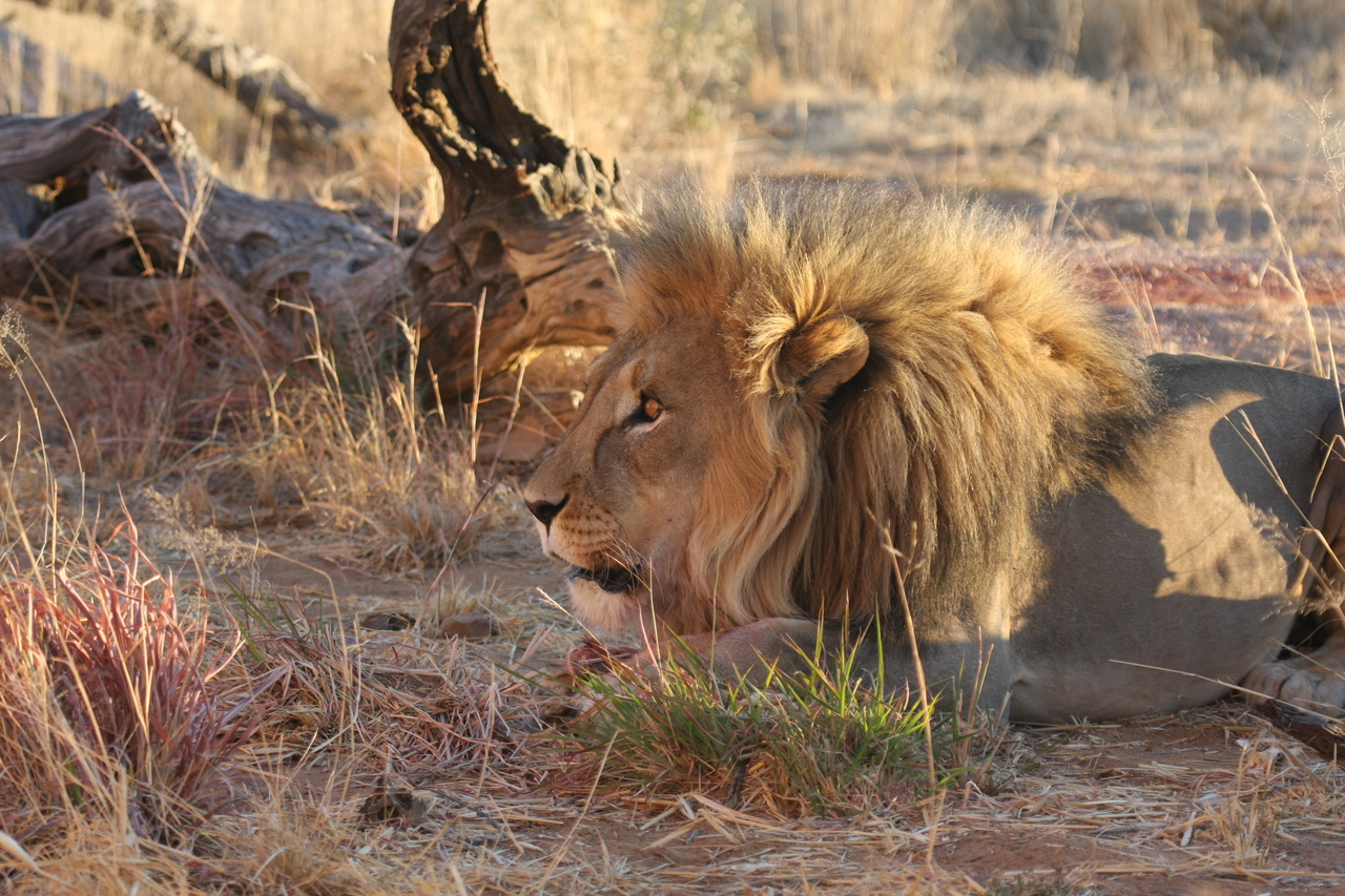 [8663] 2016_06_23_11_55_36_Africa_Canon_EOS_40D_IMG__01834.jpg