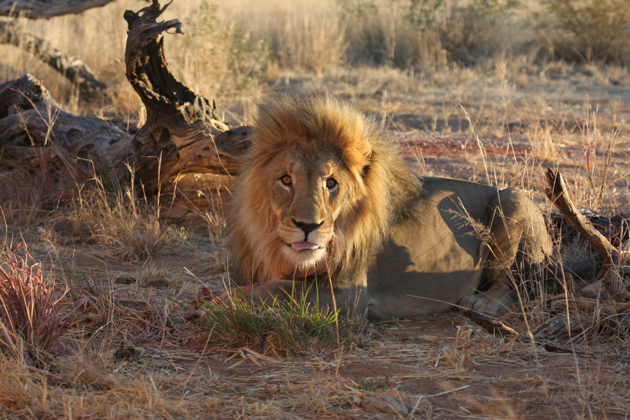 [8670] 2016_06_23_11_55_40_Africa_Canon_EOS_40D_IMG__01835.jpg