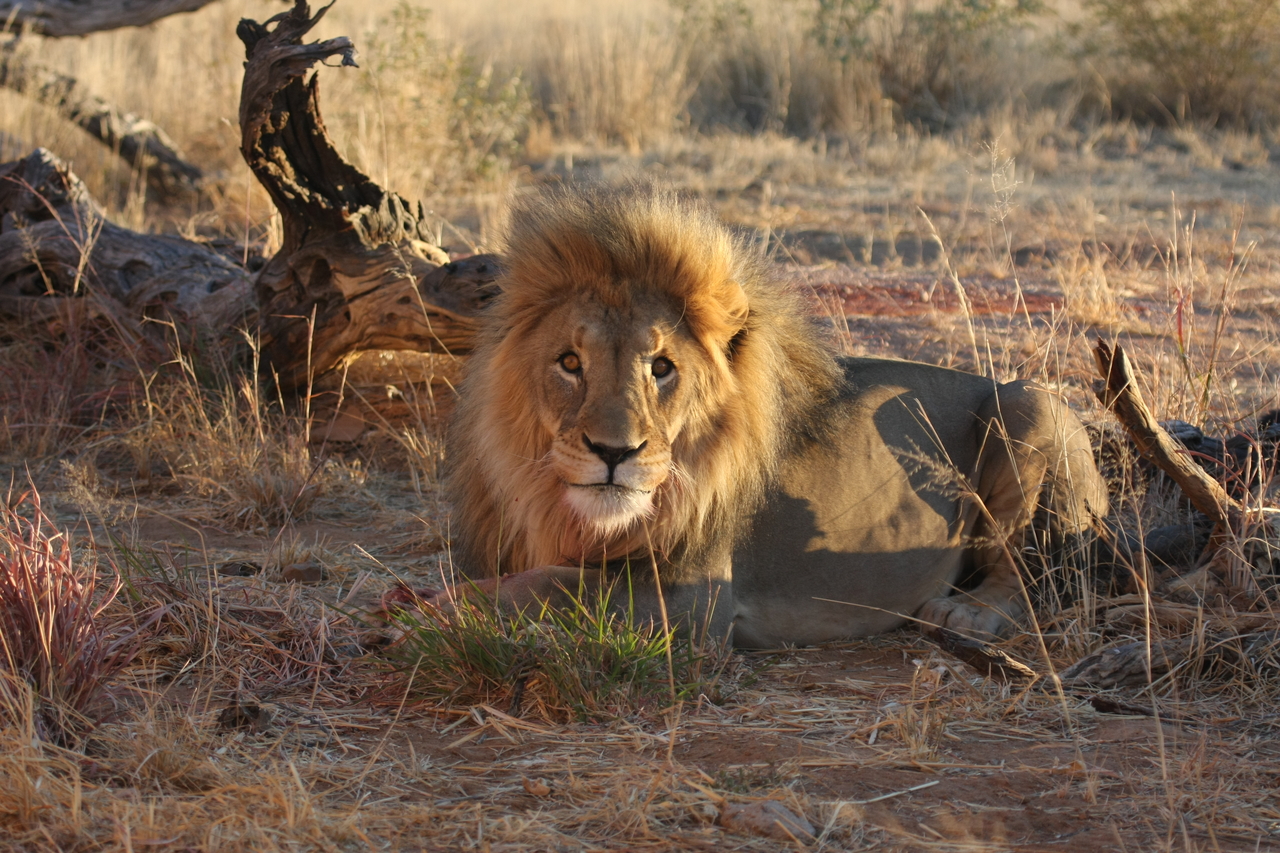 [8674] 2016_06_23_11_55_41_Africa_Canon_EOS_40D_IMG__01836.jpg