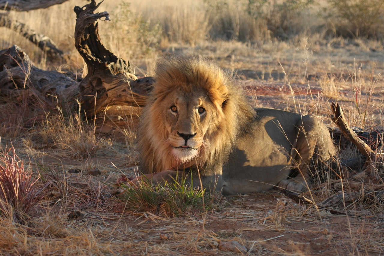 [8675] 2016_06_23_11_55_41_Africa_Canon_EOS_40D_IMG__01837.jpg