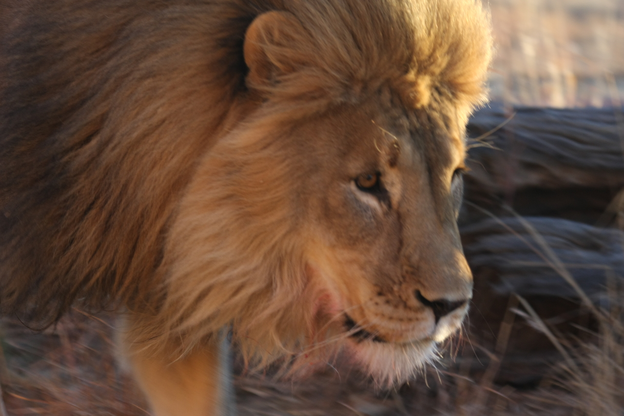 [8697] 2016_06_23_11_56_37_Africa_Canon_EOS_40D_IMG__09286.jpg