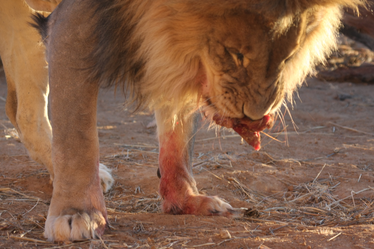 [8700] 2016_06_23_11_56_39_Africa_Canon_EOS_40D_IMG__01006.jpg