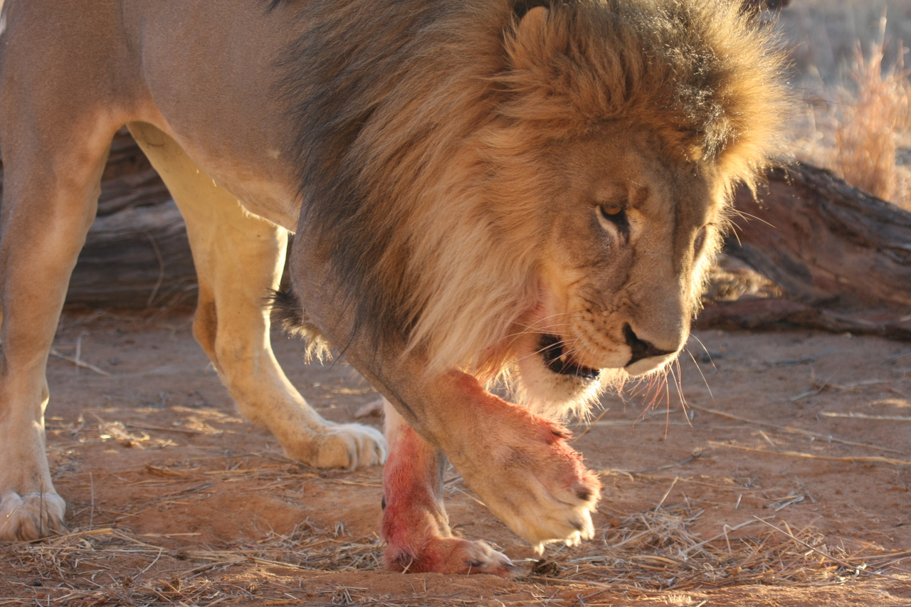 [8715] 2016_06_23_11_56_43_Africa_Canon_EOS_40D_IMG__01010.jpg