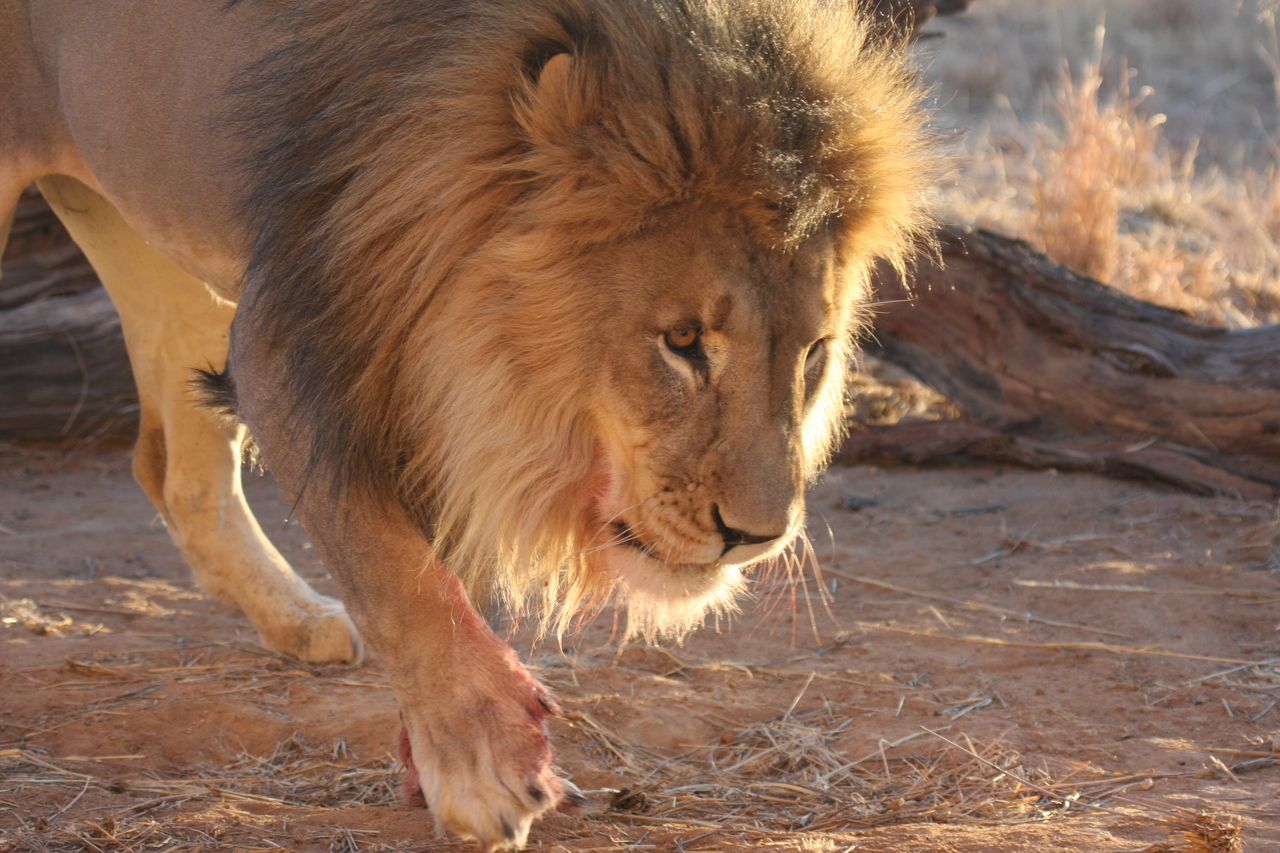 [8718] 2016_06_23_11_56_43_Africa_Canon_EOS_40D_IMG__01845.jpg