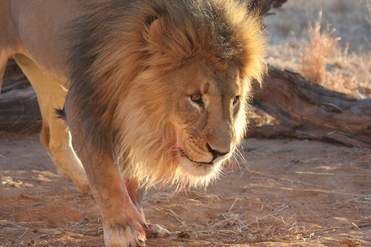 [8721] 2016_06_23_11_56_44_Africa_Canon_EOS_40D_IMG__01012.jpg