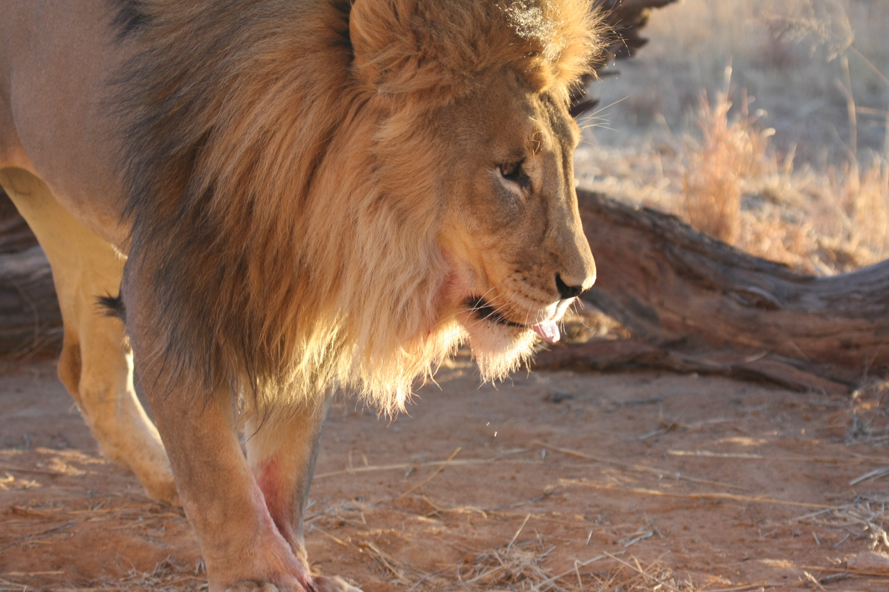 [8726] 2016_06_23_11_56_44_Africa_Canon_EOS_40D_IMG__01848.jpg