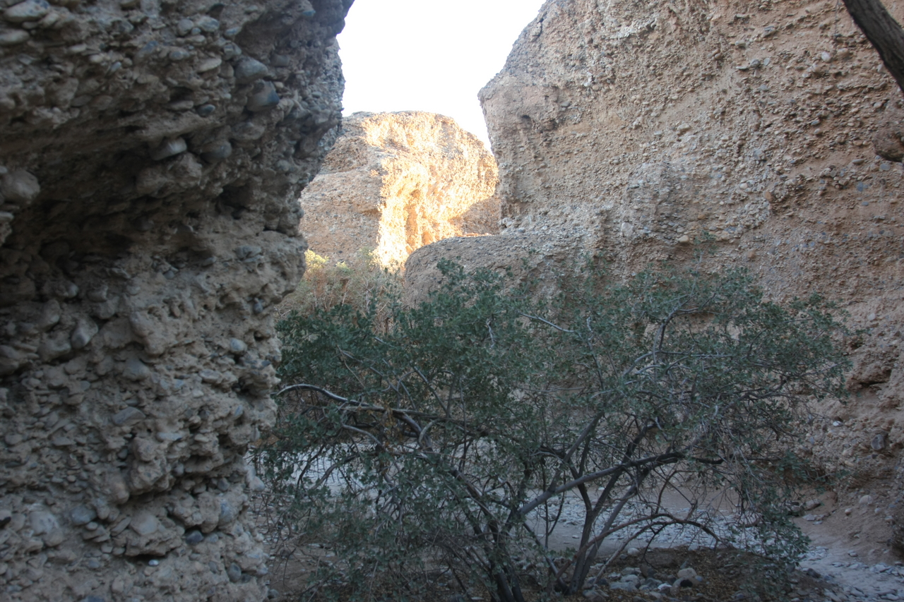 [13900] 2016_06_24_11_38_23_Africa_Canon_EOS_40D_IMG__00017.jpg