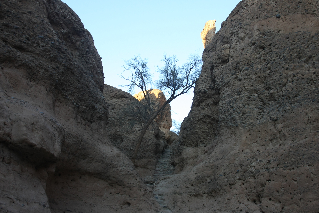 [13940] 2016_06_24_11_44_09_Africa_Canon_EOS_40D_IMG__00032.jpg