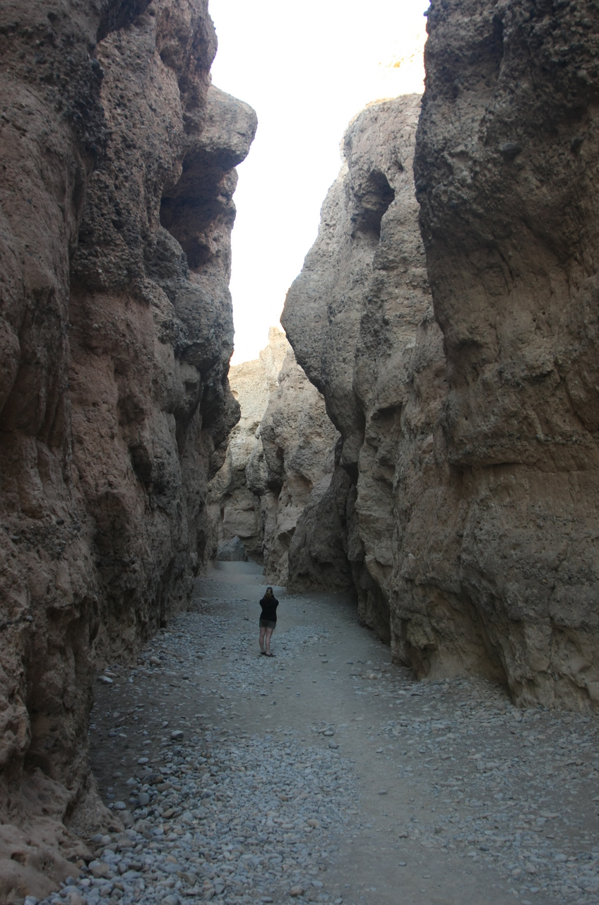 [13981] 2016_06_24_11_47_03_Africa_Canon_EOS_40D_IMG__00047.jpg