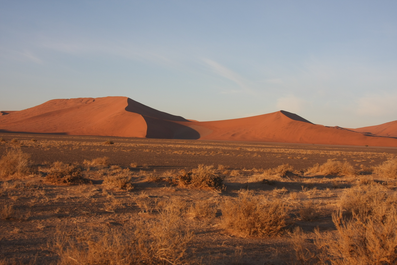 [14657] 2016_06_25_02_08_08_Africa_Canon_EOS_40D_IMG__09443.jpg