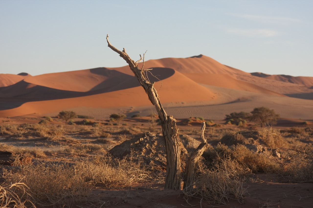 [14699] 2016_06_25_02_20_57_Africa_Canon_EOS_40D_IMG__09554.jpg