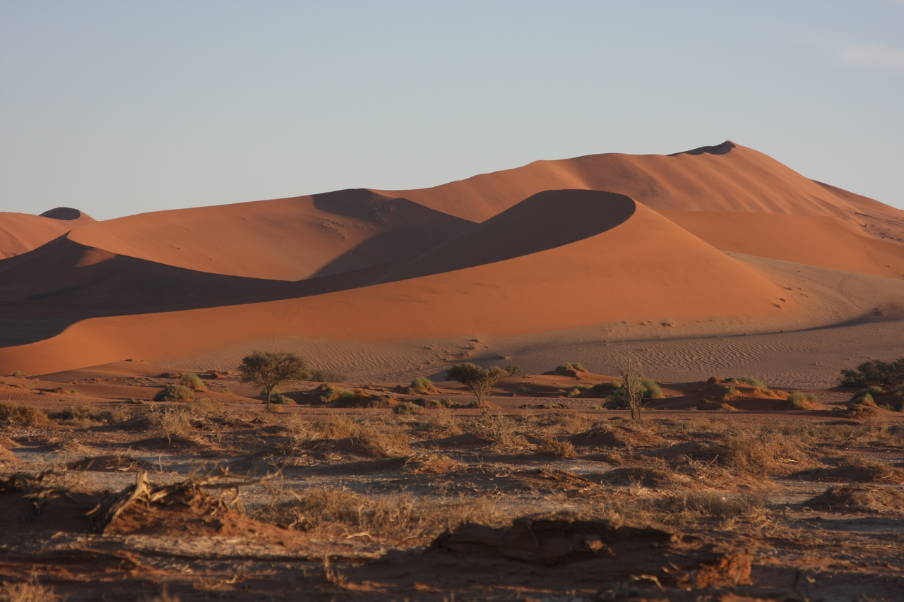 [14700] 2016_06_25_02_21_18_Africa_Canon_EOS_40D_IMG__00125.jpg